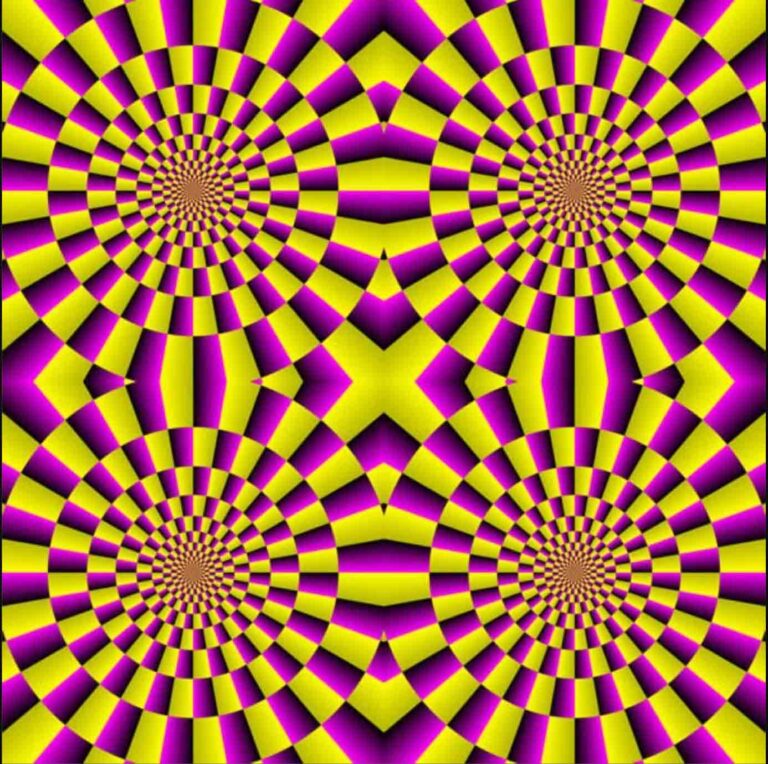 bộ não đánh lừa